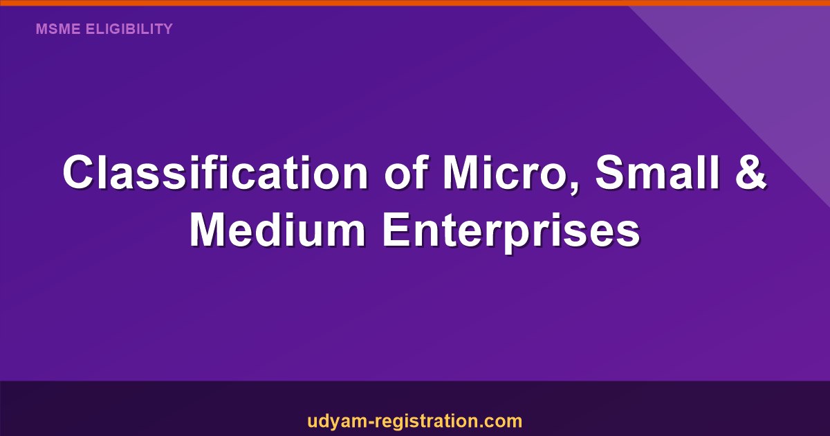 Classification Of Micro Small Or Medium Enterprises